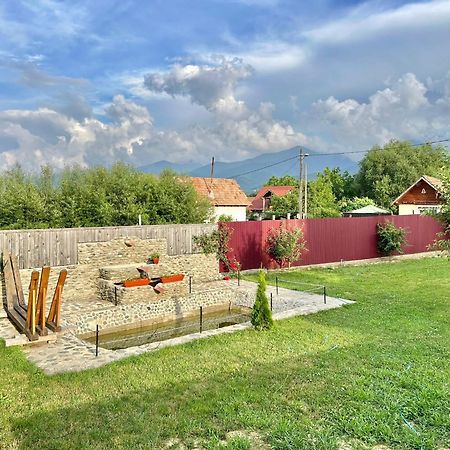Pensiunea Casa Nina Cîrţişoara Dış mekan fotoğraf