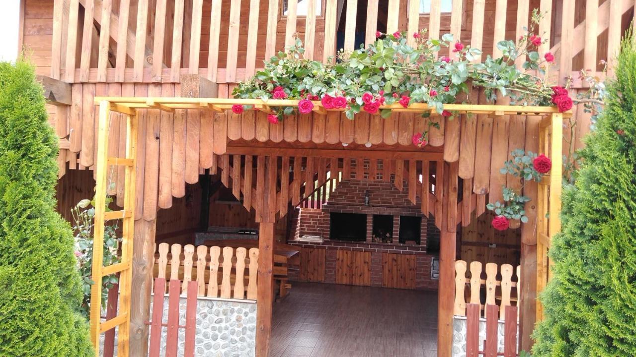 Pensiunea Casa Nina Cîrţişoara Dış mekan fotoğraf