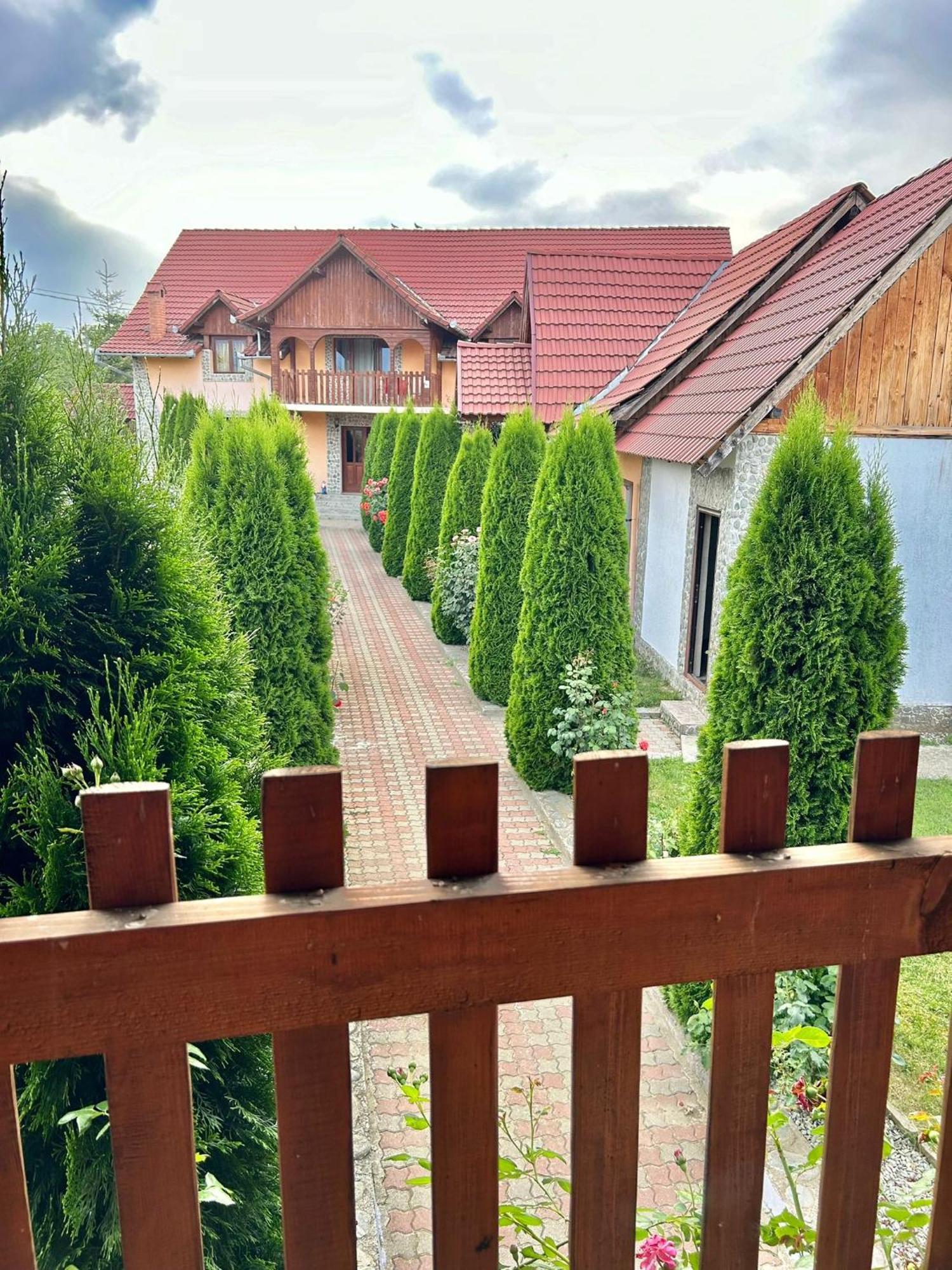 Pensiunea Casa Nina Cîrţişoara Dış mekan fotoğraf