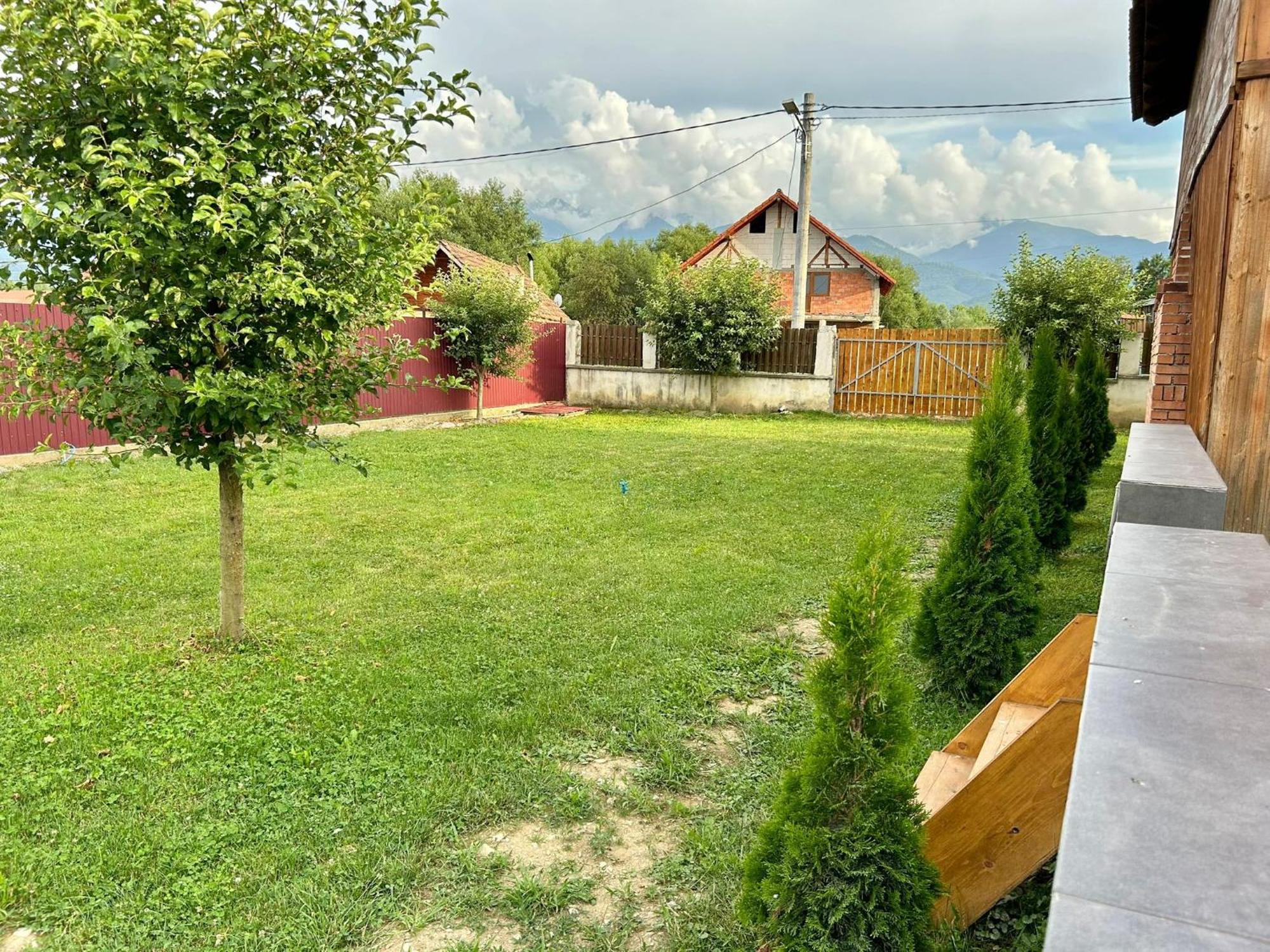 Pensiunea Casa Nina Cîrţişoara Dış mekan fotoğraf
