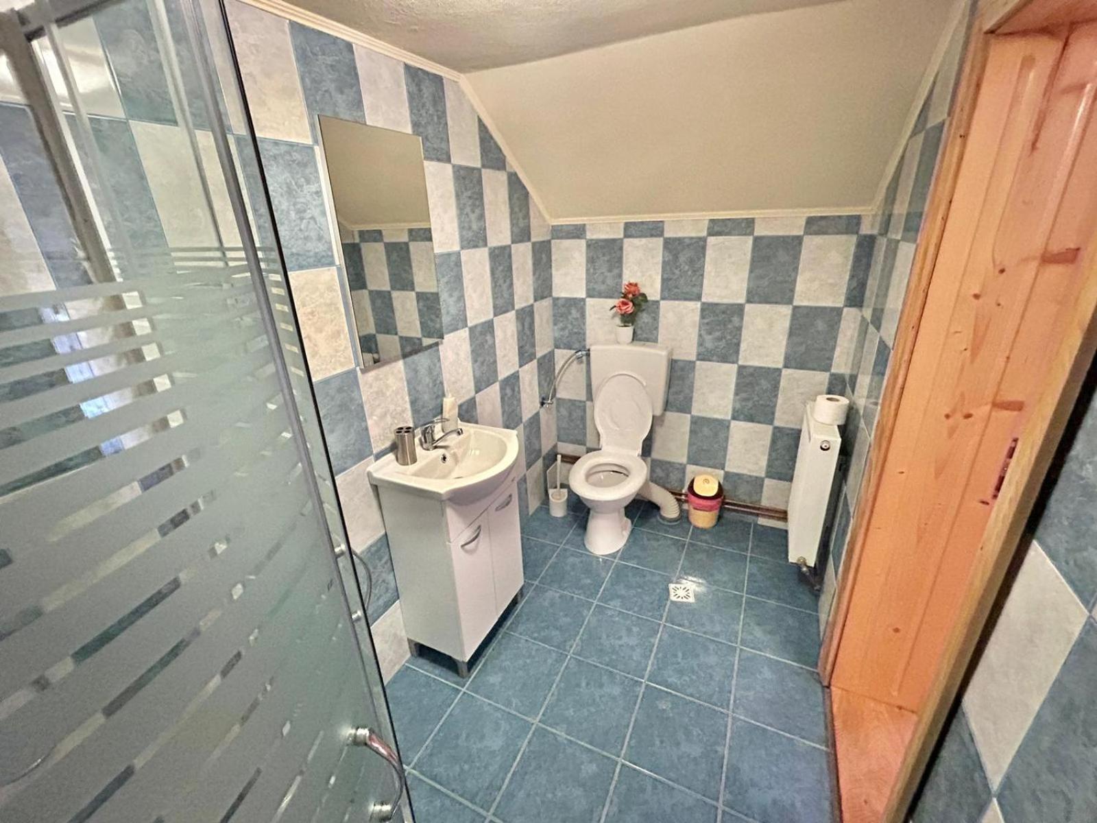 Pensiunea Casa Nina Cîrţişoara Oda fotoğraf