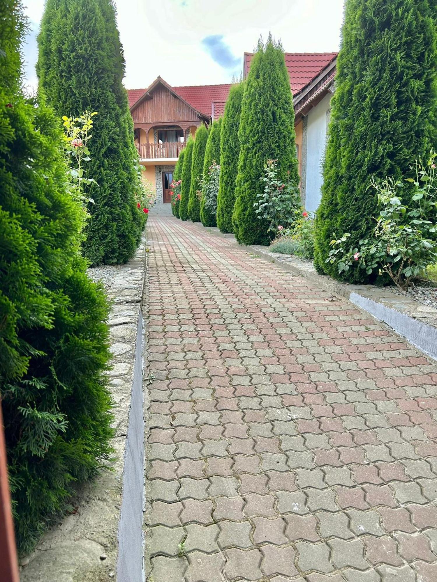 Pensiunea Casa Nina Cîrţişoara Dış mekan fotoğraf