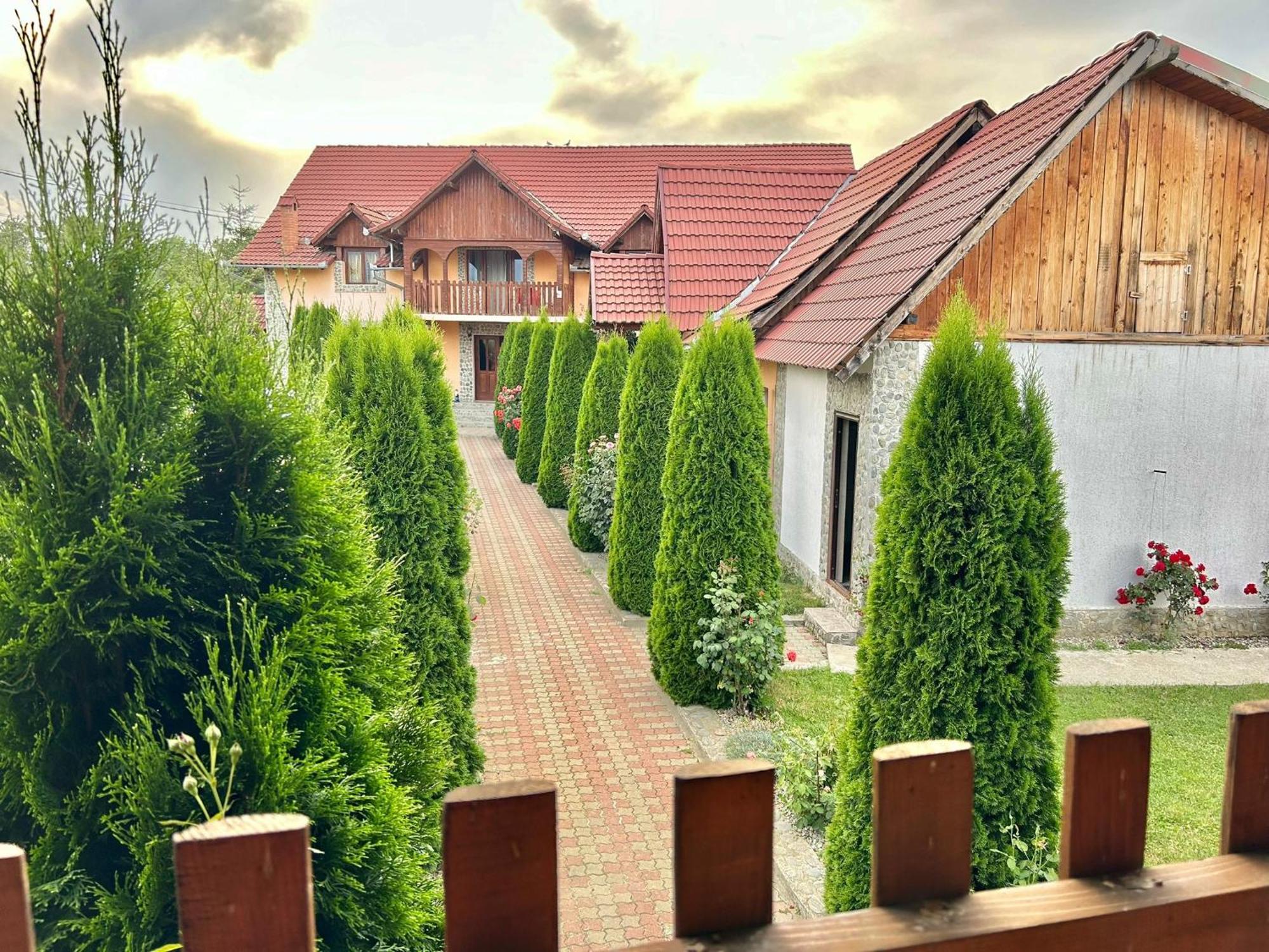 Pensiunea Casa Nina Cîrţişoara Dış mekan fotoğraf