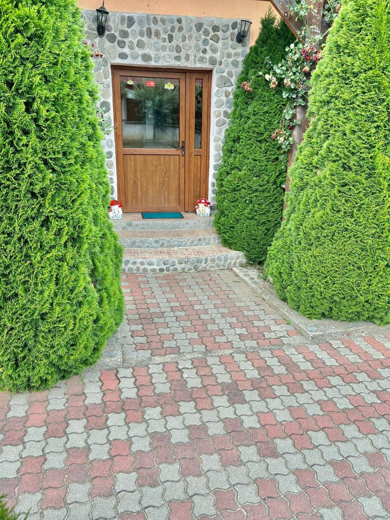 Pensiunea Casa Nina Cîrţişoara Dış mekan fotoğraf