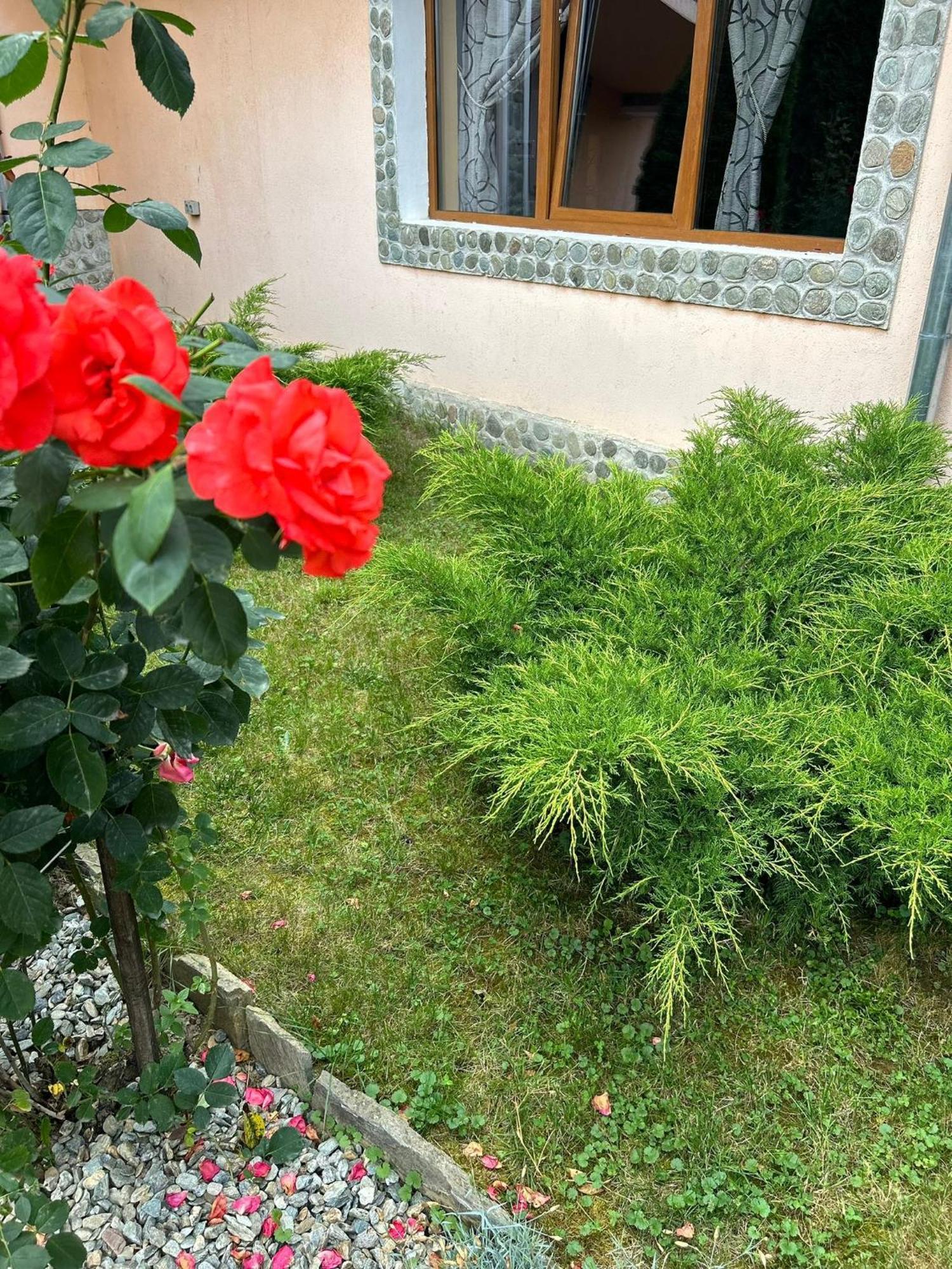 Pensiunea Casa Nina Cîrţişoara Dış mekan fotoğraf