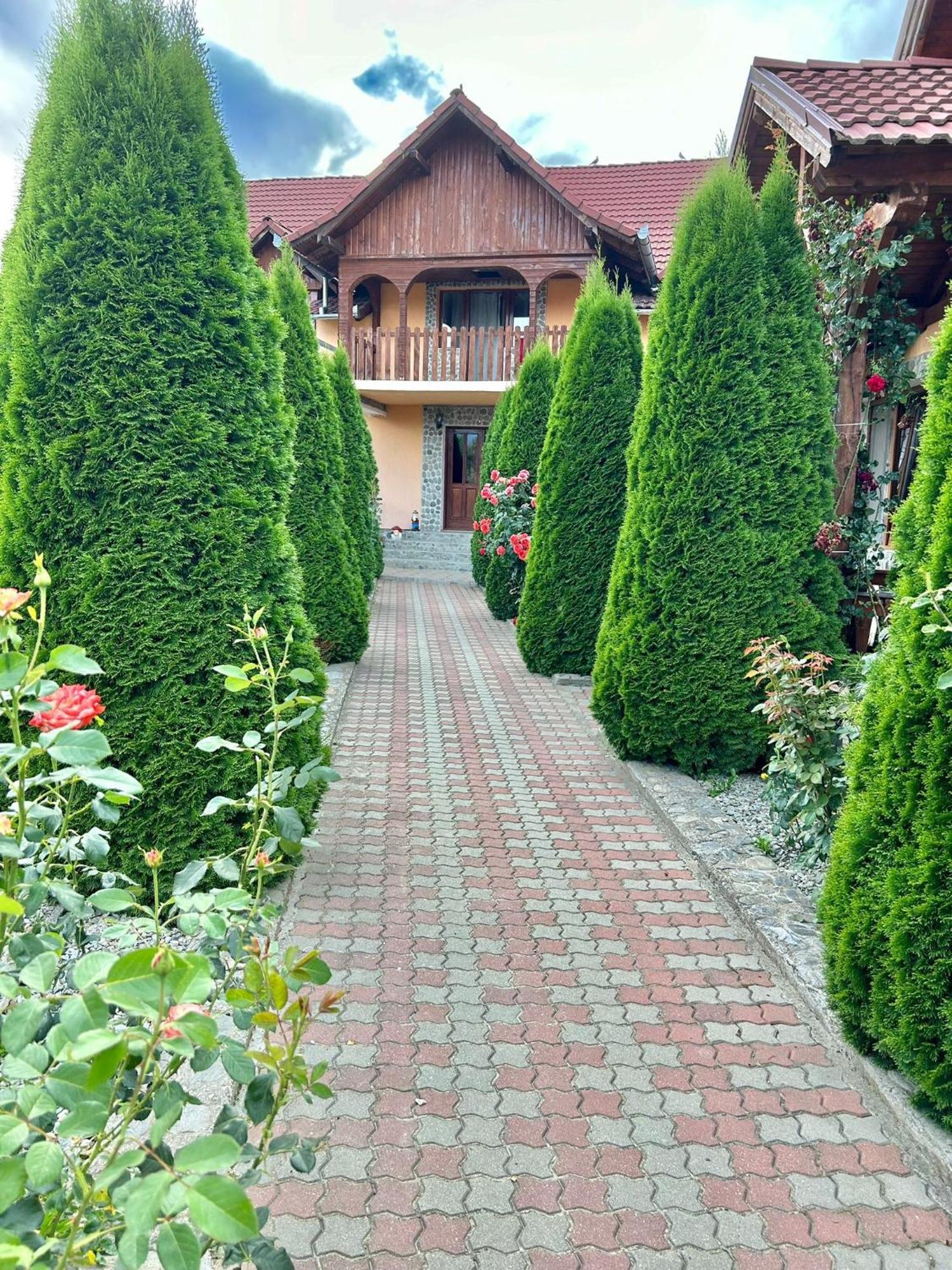 Pensiunea Casa Nina Cîrţişoara Dış mekan fotoğraf