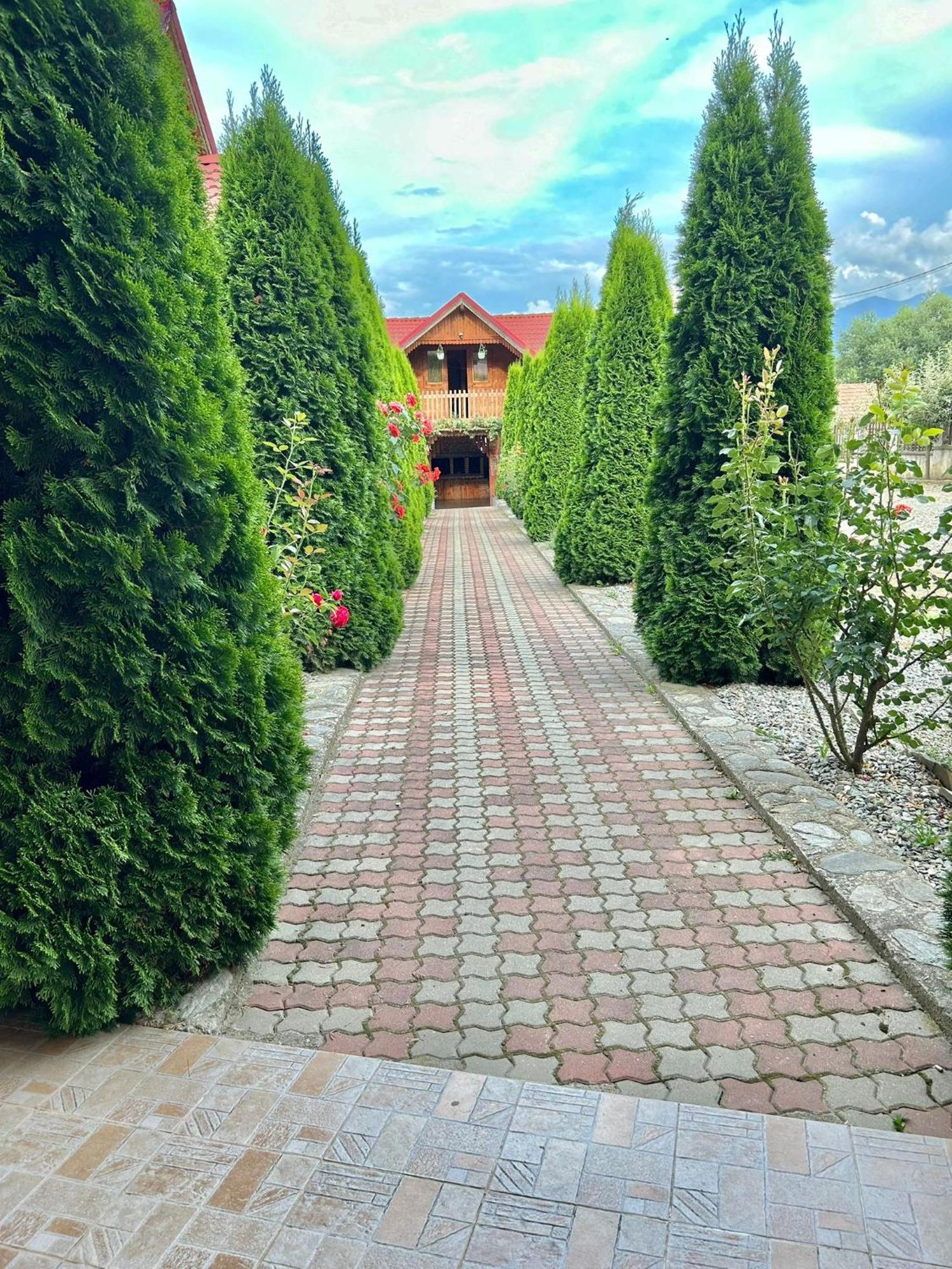 Pensiunea Casa Nina Cîrţişoara Dış mekan fotoğraf